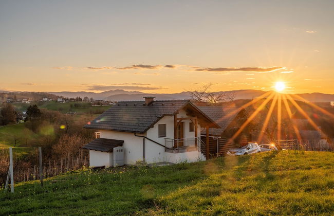 Vineyard cottage Majolka - Photo 15