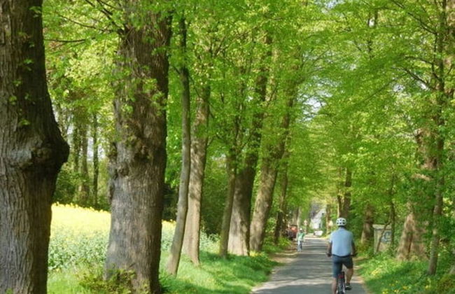 Holiday Apartment Kurpark - Photo 9