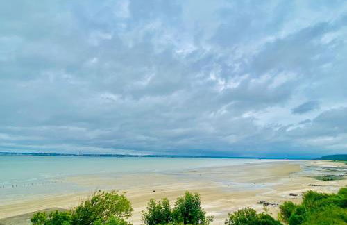 La sauvagine les pieds dans l'eau - Foto 3