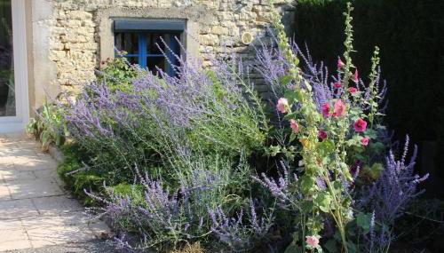 La Goélette - Foto 2