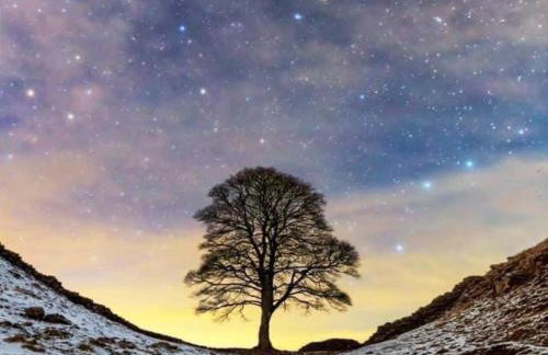 6 Guests - 3 Bed House in Chester-le-Street - Foto 24