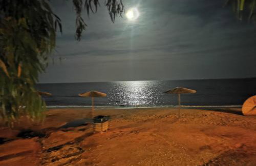 Xaido's House near airport port sea - Foto 15