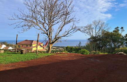 Biscoitos Top View - Photo 25