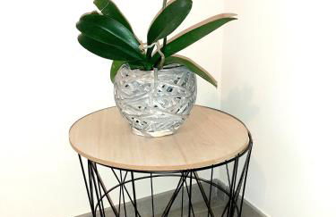 Cascina San Giulio - Foto 18