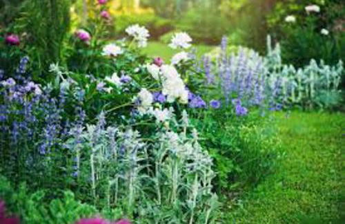 Loxley Barn, 1-bed Cottage Retreat - Photo 39