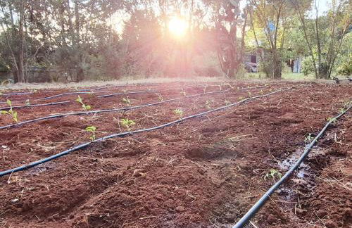 Dèpendance - Lequile - Alfa Country House - Foto 23