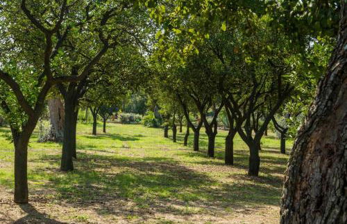 Agriturismo Villa Coluccia - Foto 38