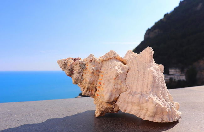 Ilary House - Foto 68