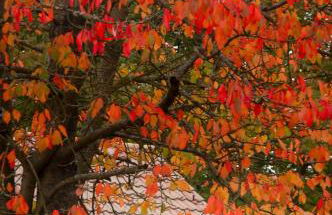 River Edge Lodges - Foto 72