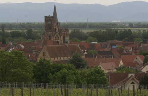 Gite duplex du vignoble Alsace - Foto 34