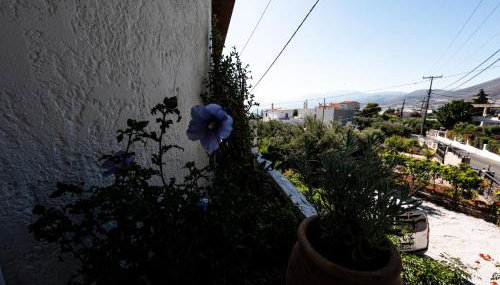 Tea & Sea Apts - Photo 5, Garden view