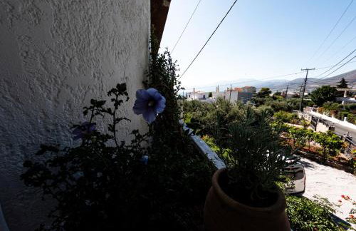 Tea & Sea Apts - Foto 5