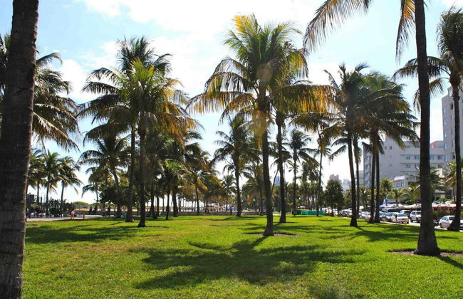 Beachfront 4 Room Ocean Drive Deluxe Suite - Foto 40