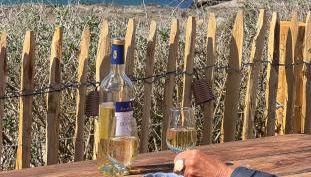 Maison sur la plage , pour vivre des vacances iodées " La Bastille" - Foto 2