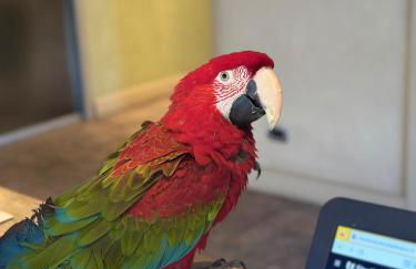 Agriturismo I Leprotti - Foto 5