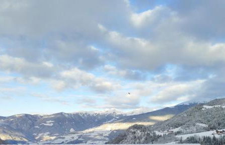 Planerhof Apartment Enzian - Photo 42