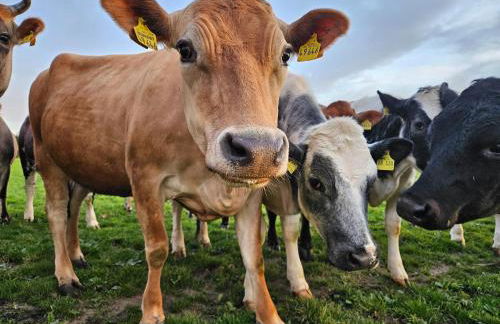 Bummler Hof - Foto 5