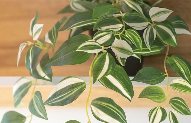 Unique Bright Apartment by Renters - Photo 7