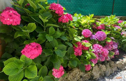 Life is Good - Front Lake Apartment in Villa - Foto 43