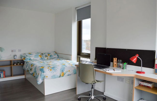 Student Only Byrom Point - Foto 4