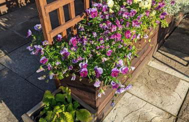 Robin Cottage - Foto 27