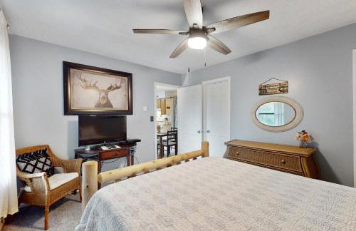 Misty Woods 03 - Foto 22