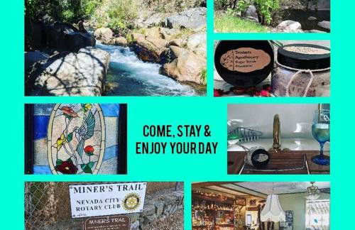 1870s Stained Glass Nostalgia - Foto 27