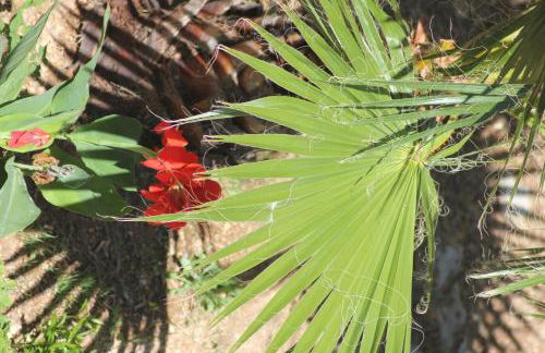 Residence e B&B La Cappella Del Convento - Foto 8