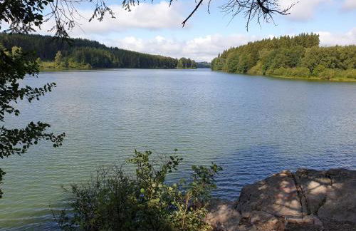 Ferienhaus Kirschblüte - Foto 47