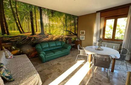 Lago Maggiore Green House - Foto 11