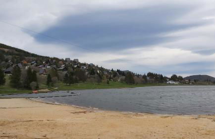 La forêt des Marmottes - Photo 41