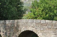 Casa do Pássaro - Foto 75