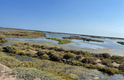 La Calma del Delta - Foto 30