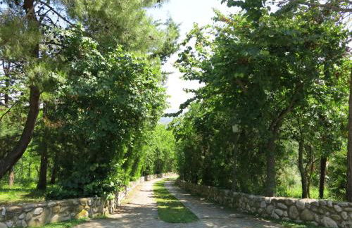 Holiday Home Il Noceto by Interhome - Photo 60