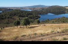 Quinta das flores - Foto 29