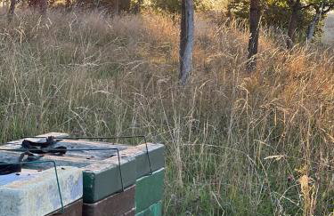 Idyllisches Ferienhaus im Grünen mit Fernblick - Foto 22