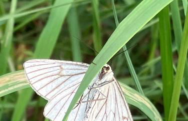 Ferienwohnung Aussicht, Monheimer Alb, Altmühltal - Foto 10