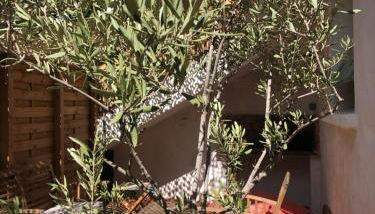 CASA DAHLIA - Charmant appartement équipé avec grande terrasse - Foto 2