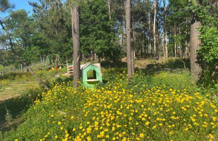 Casa de Cossourado - Foto 46