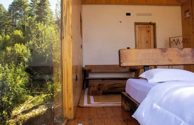 Cove The Glass House - Foto 7