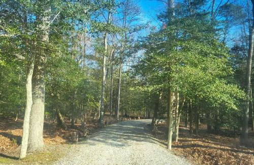 Sai Rakshit Villa on Maurice River - Foto 41