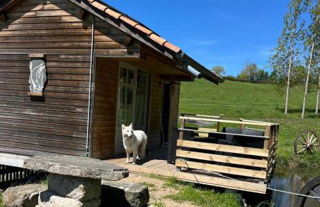 Cabane au bord d'un étang - Foto 19