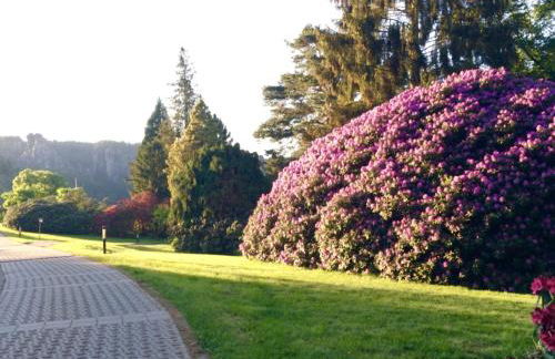 Ferienwohnung Am Grünbach 2 - Foto 11