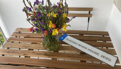 PLACIDO RIVER HOUSE APARTAMENTO - Foto 3