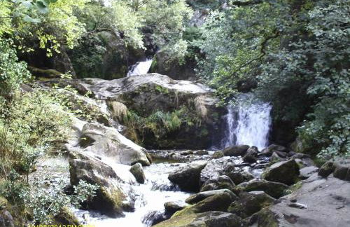 Owl Cabin - Photo 55