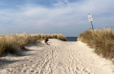 Himmel & Holz - Foto 34