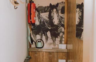 Guggi`s Alm - Foto 27