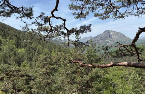 Alojamiento esqui montaña Cofiñal - Foto 13