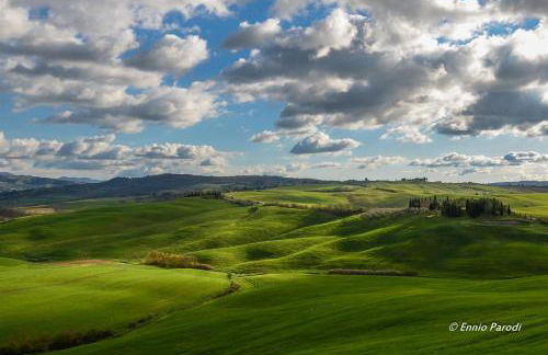 Agriturismo Bonello - Foto 42