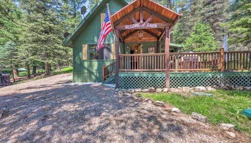 Casa Verde Cabin with Fire Pit 4 Mi to Ski - Foto 3